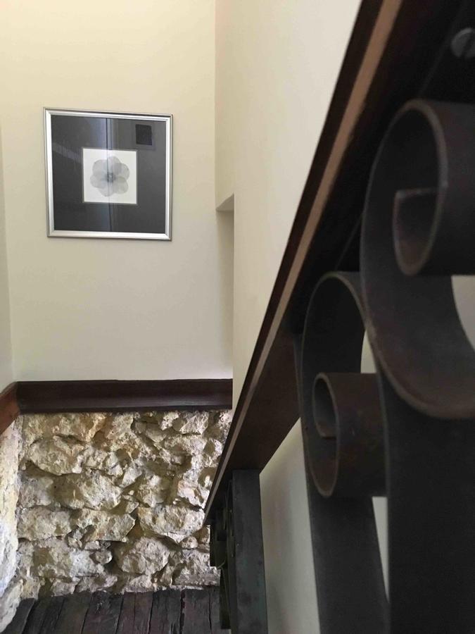 Studio 53 ديامانتينا المظهر الخارجي الصورة